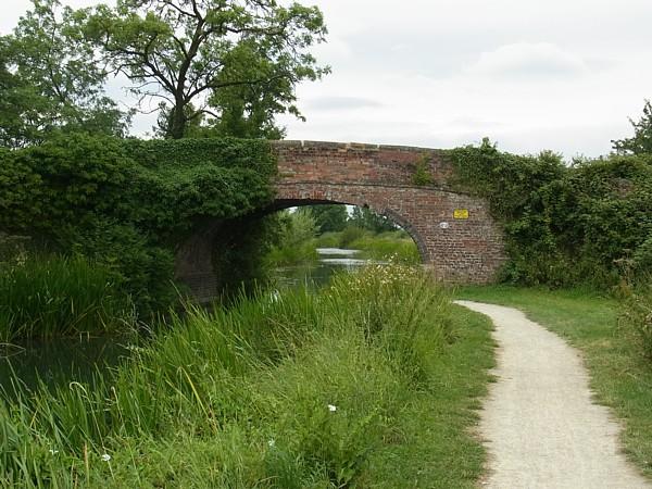 Bridge 62