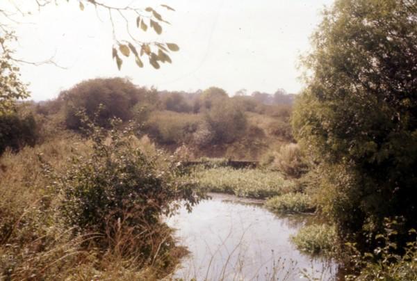 Site of Top Lock, Newport Flight