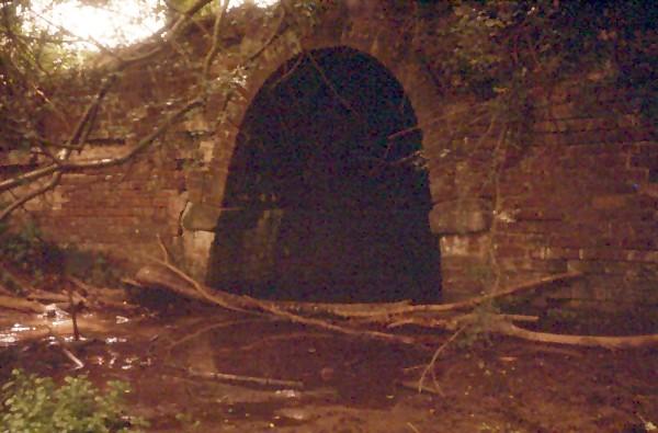 Putnal Fields Tunnel
