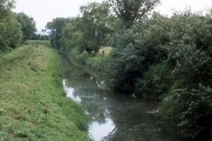 Westport Canal